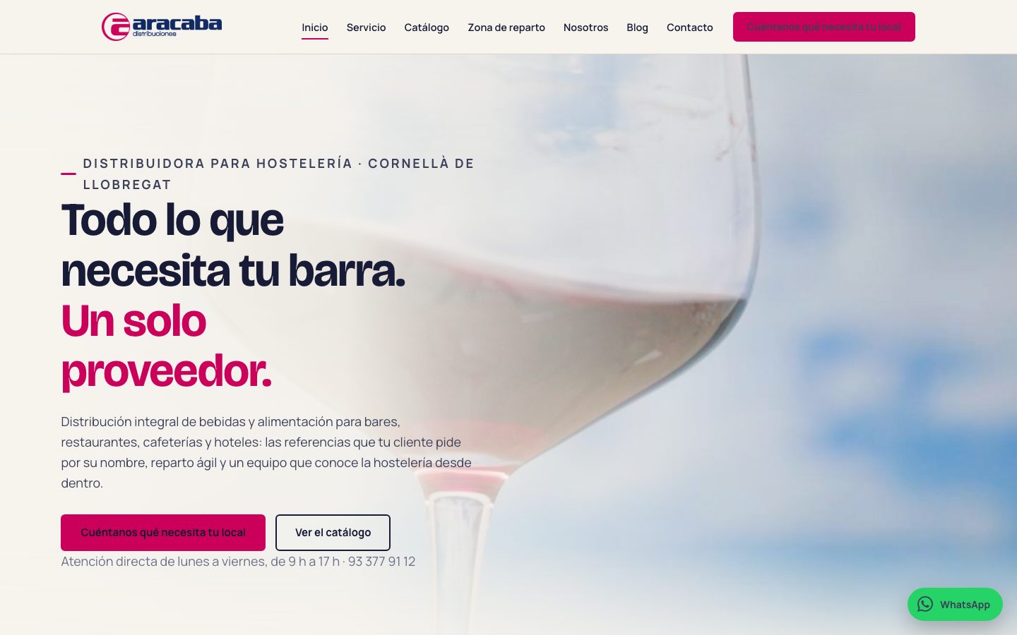 Web de Aracaba en escritorio