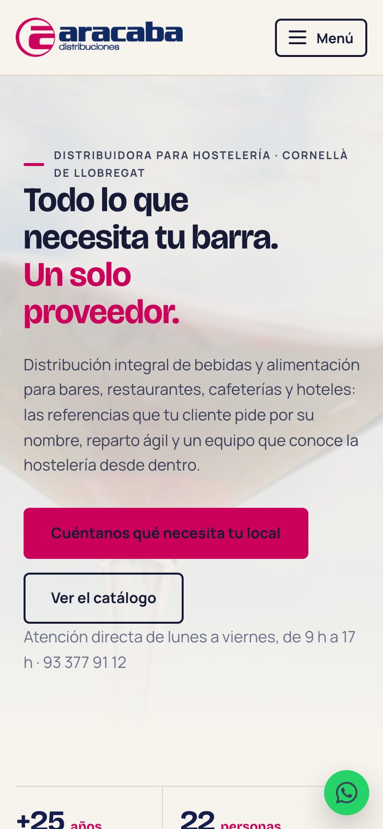 Web de Aracaba en móvil